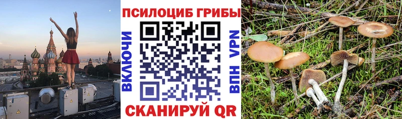 где купить наркоту  Разумное  гидра зеркало  darknet телеграм  Галлюциногенные грибы Magic Shrooms 